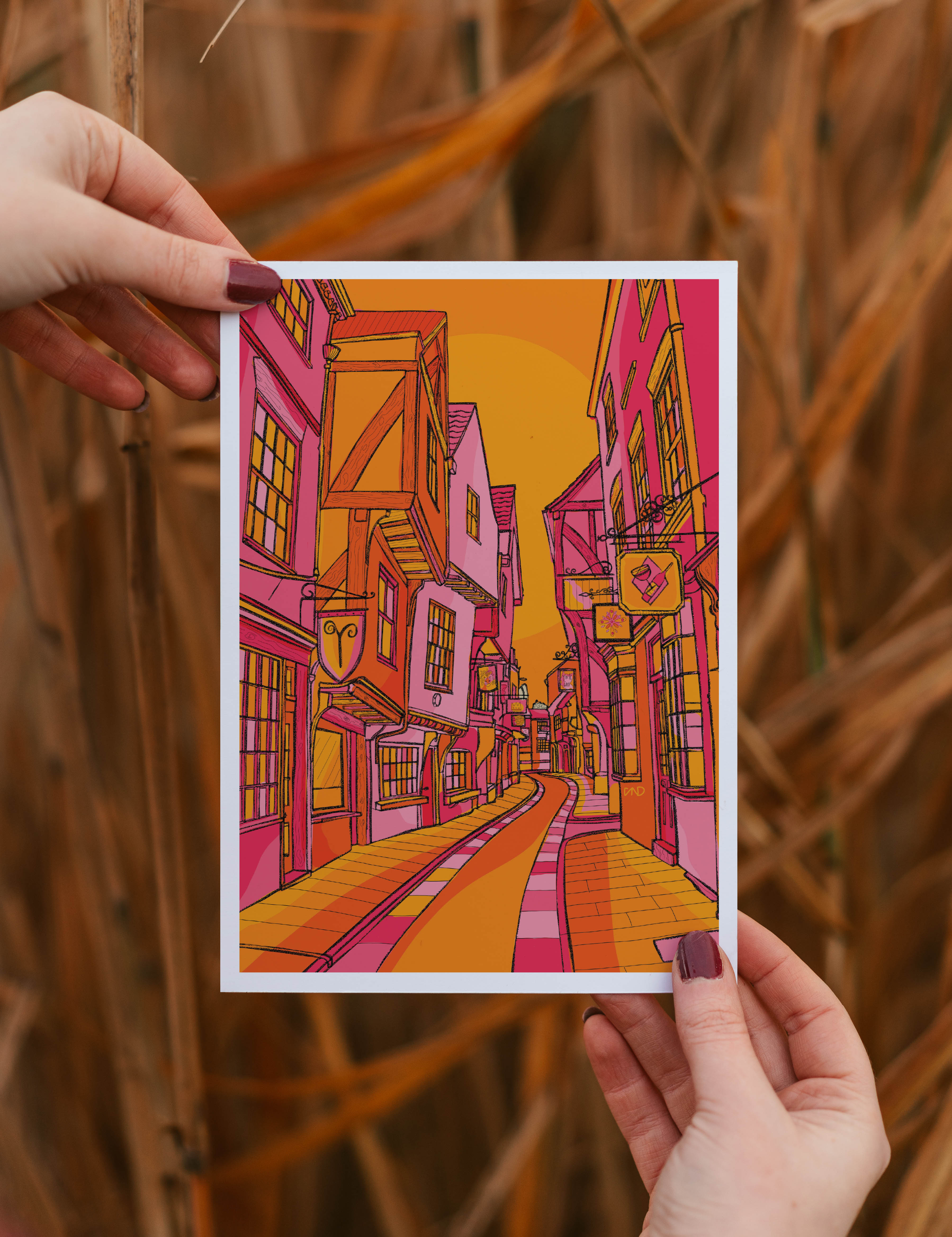 York shambles art print, colourful wall art