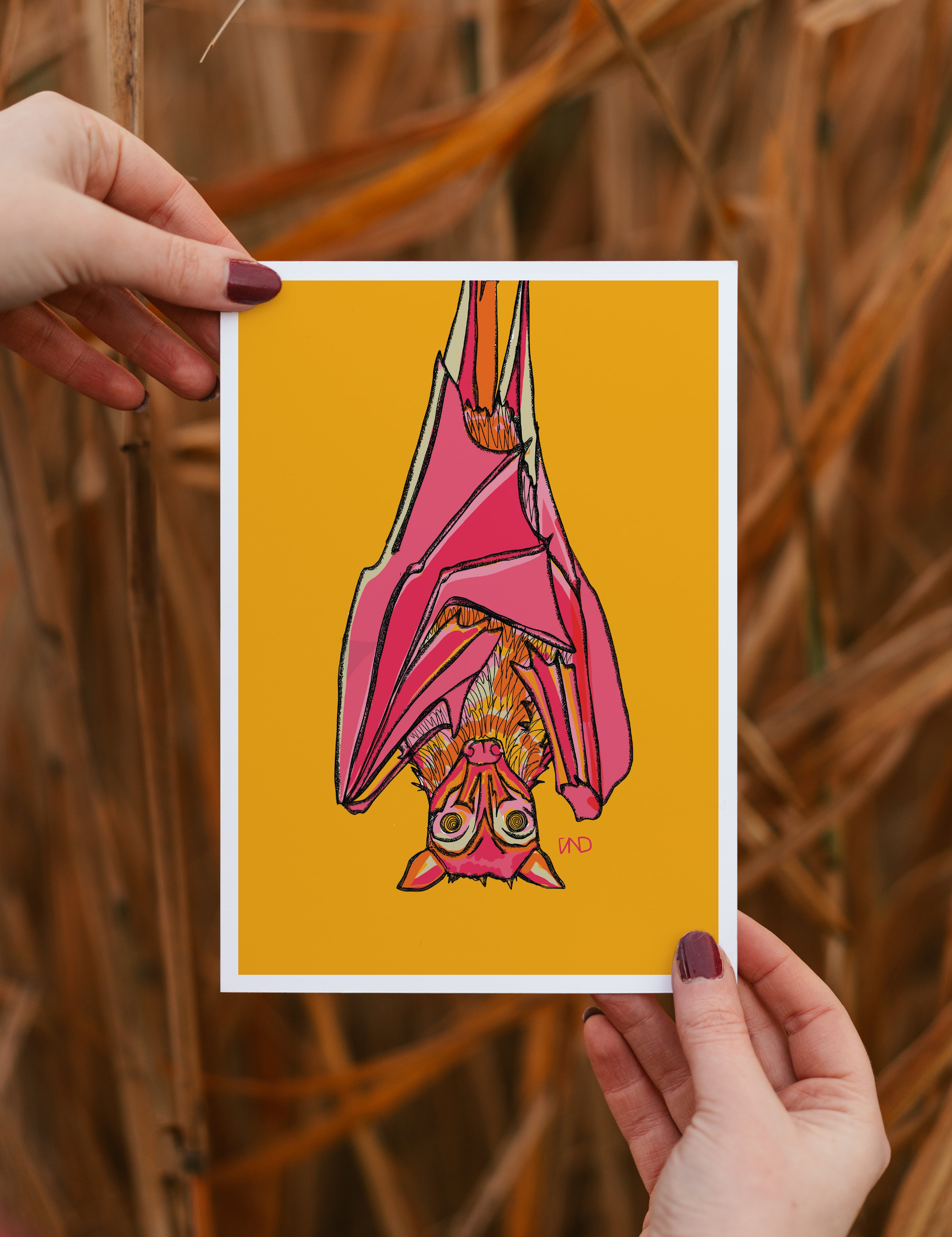 colourful wall art, bat art