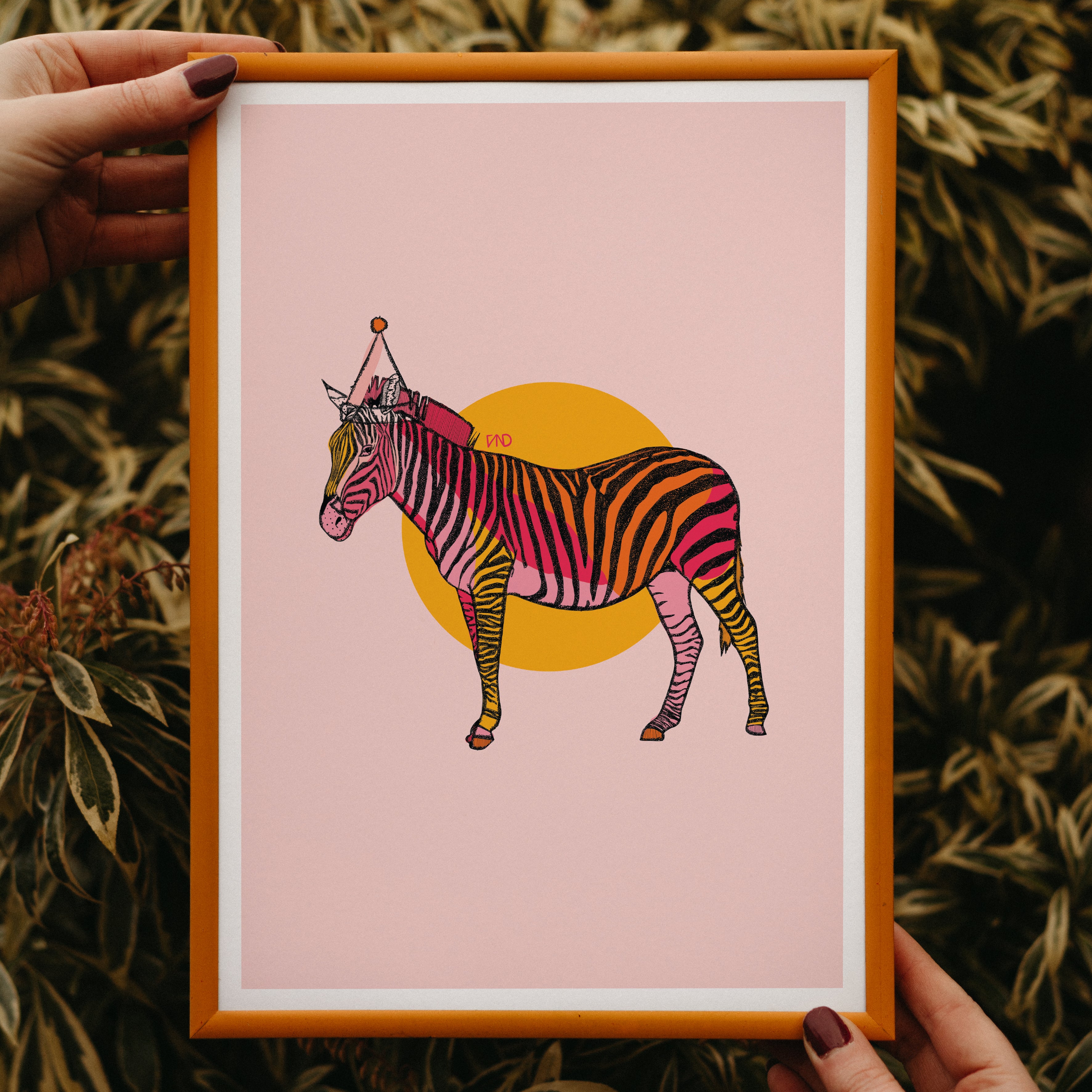 zebra art print, colourful wall art