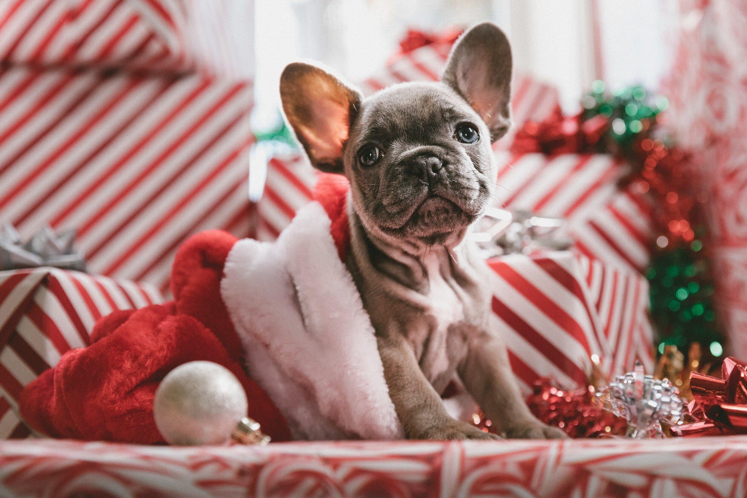 Shop small for Christmas gifts in 2020